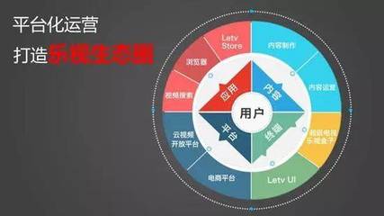 從樂視成本困境看電子商務平臺運營的核心挑戰
